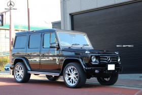 Mercedes G350 Bluetec