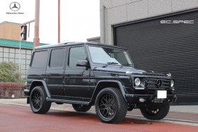 Mercedes G350 Bluetec