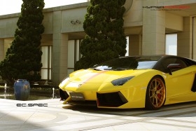 LAMBORGHINI LP700-4 PIRELLI EDITION